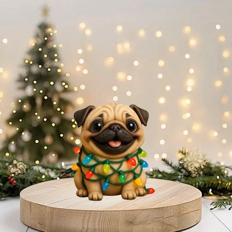 🐾🎄Leuke Mops Adventskalender 2025